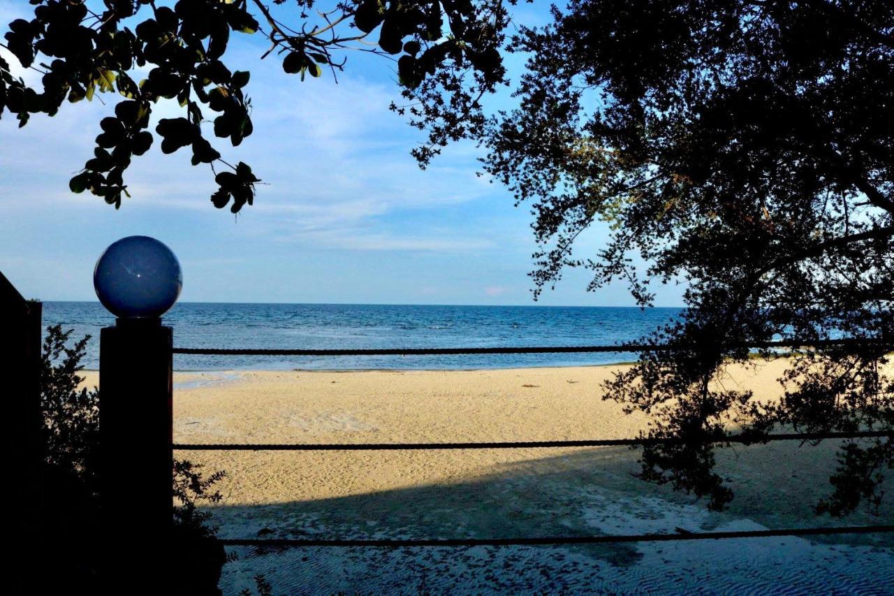 D'S Oceanview Beach Resort Siquijor Eksteriør bilde