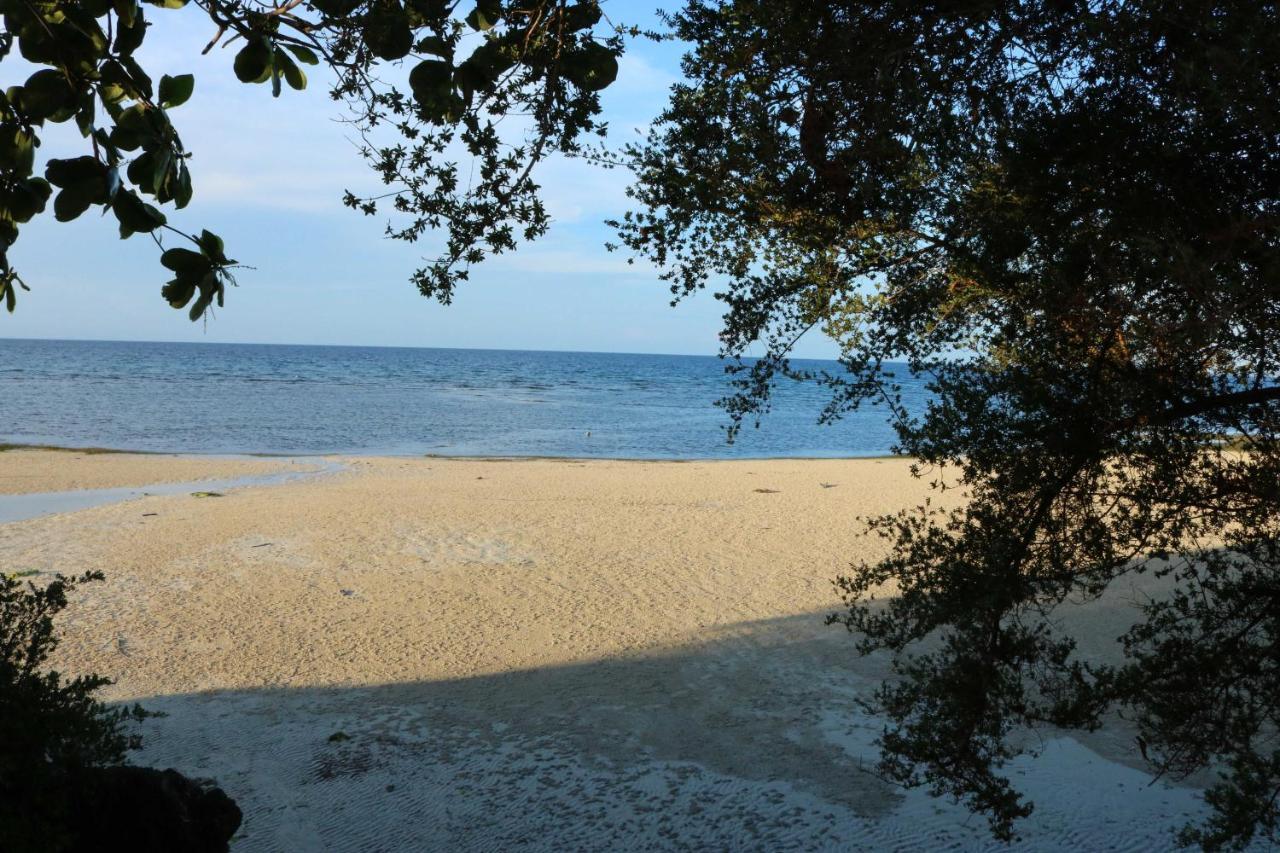 D'S Oceanview Beach Resort Siquijor Eksteriør bilde